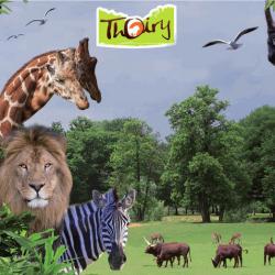 Zoo safari de thoiry Ebillet* Adulte