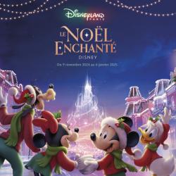 Disneyland Paris Billet Eco 1 jour/2 Parcs Tarif Unique