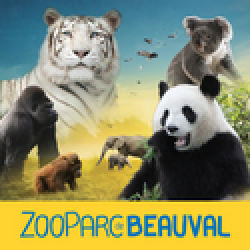 Beauval