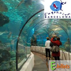 Aquarium de Barcelone - E-billet ENFANT