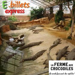 La ferme aux crocodiles - 1j ENFANT