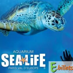 Aquarium Sealife Paris Val d'Europe E-Billet Adulte Validité 06/04/2025