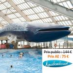 Aquaboulevard Abonnement Enfant par Avantages Enseignants