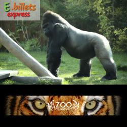 ZOO D'AMNEVILLE E-Billet 1 Jour Enfant