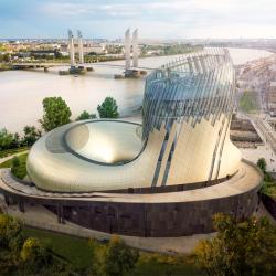 La Cité du Vin Bordeaux E-billet Adulte 